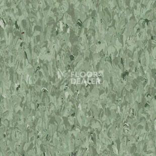 Линолеум Tarkett Iq Granit Safe T GREEN 0694 фото 1 | FLOORDEALER